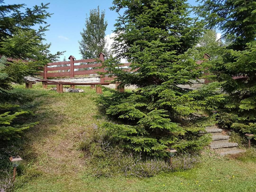 Dom Na Wzgorzu Villa Polanica-Zdroj Exterior photo