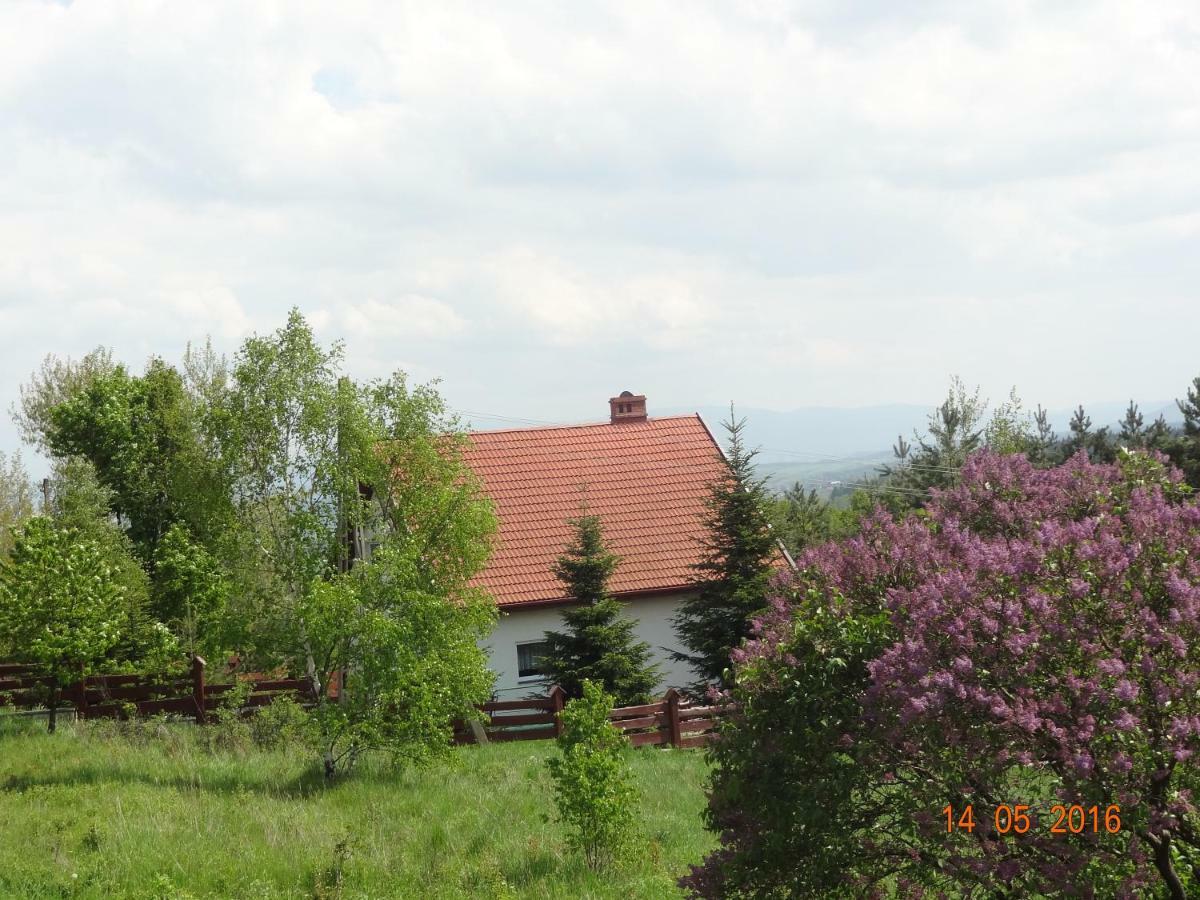 Dom Na Wzgorzu Villa Polanica-Zdroj Exterior photo